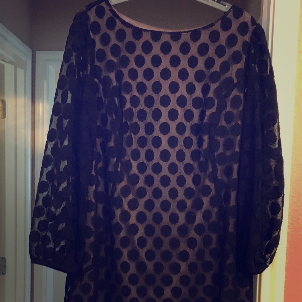 Gorgeous polka dot sheer dress.